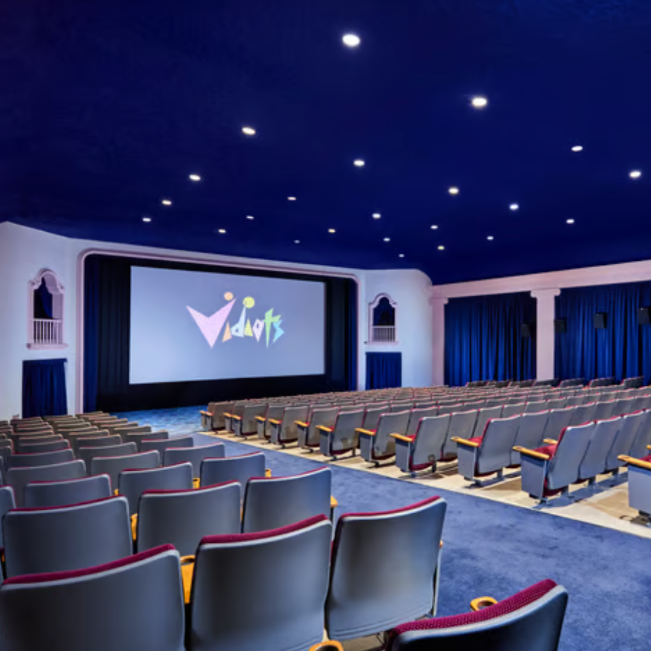 Vidiots - 1 Year Membership & Goodie Bag